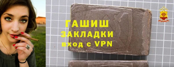 шишки Осташков