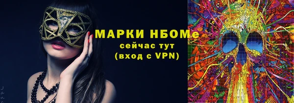 шишки Осташков