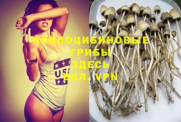 не бодяженный Верхний Тагил