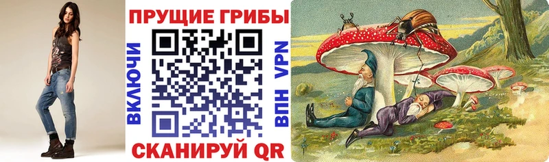 цены   Славянск-на-Кубани  Галлюциногенные грибы Psilocybe 